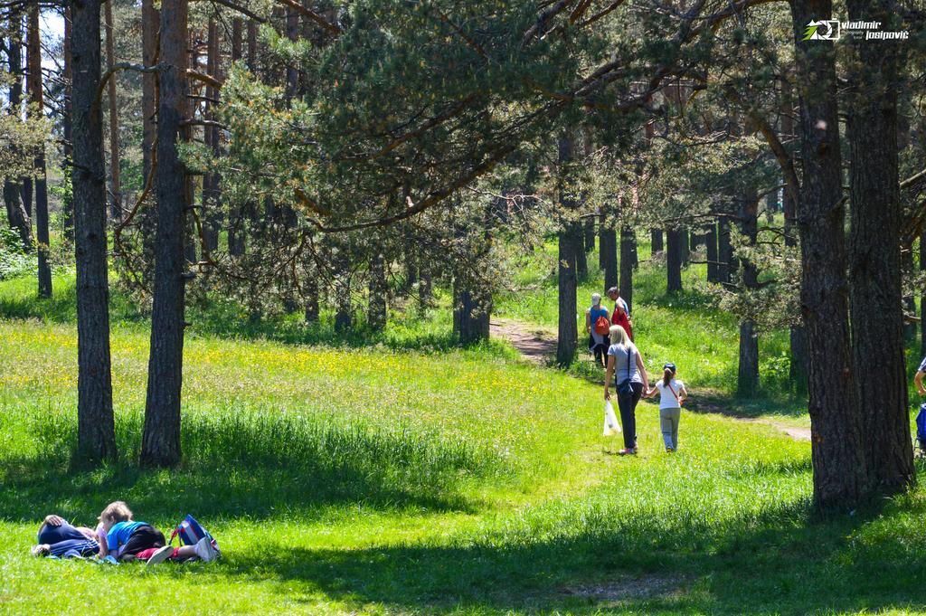 Apartments Josipovic Zlatibor Exteriör bild